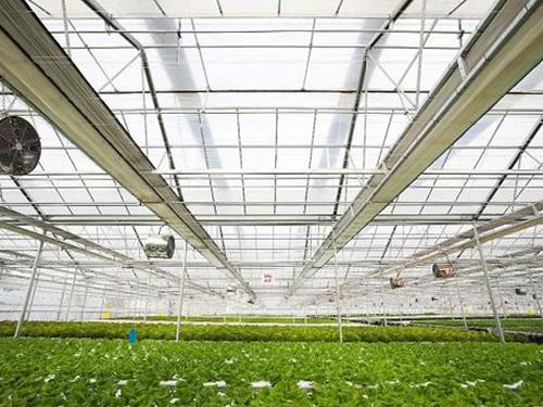 環(huán)流風(fēng)機施工現(xiàn)場